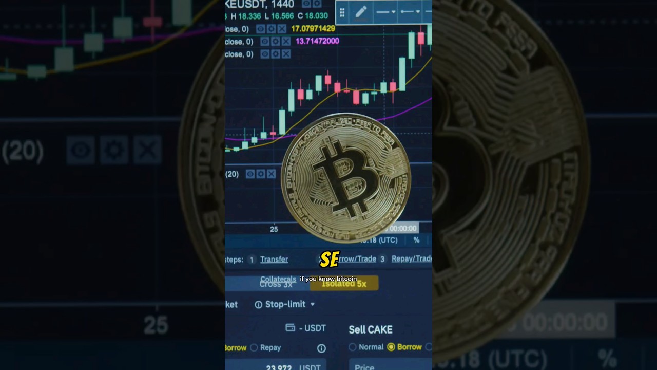 Satoshi XCX: Long Bitcoin Shorts main image 0