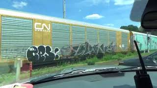 #4256 CSX Q217-19 Empty Autorack train also with my Dad
