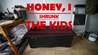 [Altered Audio] Honey, I Shrunk the Kids Inspired POV ☀ Shrinking/Giantess/ASMR