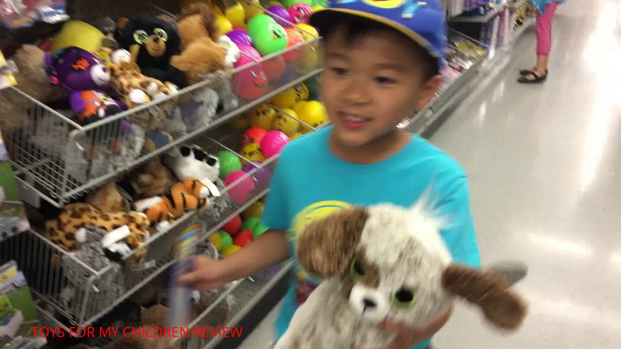 dollarama teddy bears