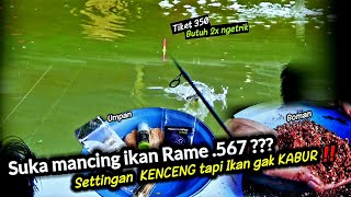 Pass banget ‼️Umpan ikan mas untuk mancing ikan rame harian maupun lomba