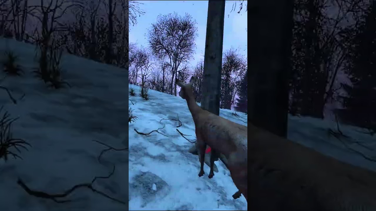 LUCKIEST DEER KILL IN DAYZ