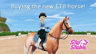 BUYING NEW ENGLISH THOROUGHBRED || Equestrian Festival || Star Stable