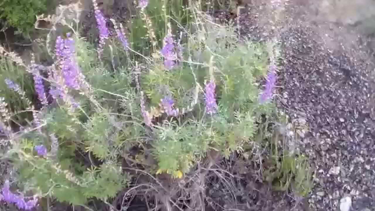 Rincon Red Box Shortcut road