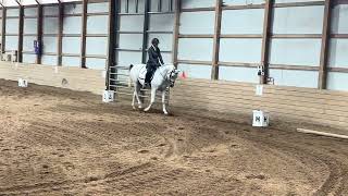 USDF Intro Test B Dorothy Berney