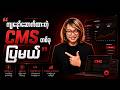 ကျနော်ဆောက်ထားတဲ့ CMS တစ်ခု ပြမယ် | AI Myanmar