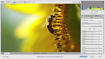 Getting to Know the Adobe Camera RAW Interface