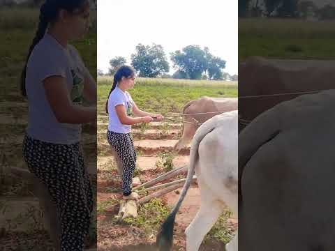 Framer Garl Publicfarmer Karnataka Farmers Agriculture India Viral Trending