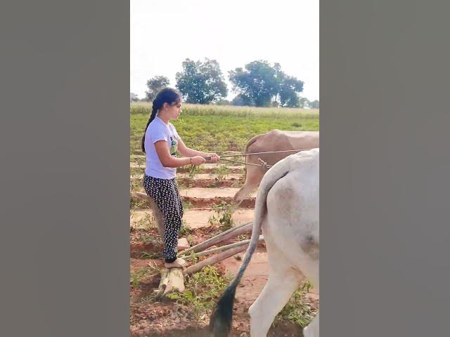 Framer Garl ..😅👍 #publicfarmer #karnataka #farmers #agriculture #india  #viral #trending