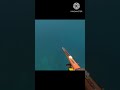 Fishing 🦦🎣🎣