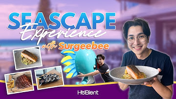 Thumbnail of SURGEEBEE: Seascape Experience