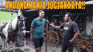 GREBEK KOLEKSI KUDA ANTIK HJS STABLE DAN KELILING MALIOBORO DENGAN ANDONG MILIK MAS WISNU !!