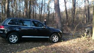 Touareg breaks tree