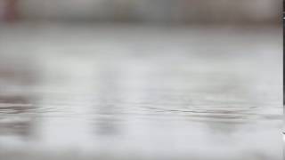 Puddle Water Rain Raindrops Raining Nature Wet No Copyright Video
