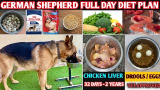 German Shepherd Diet Plan | Healthy Full Day Diet Chart For GSD Morning, Afternoon & Evening Diet