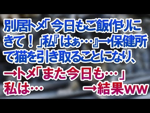 【スカッとする話】別居トメ「今日もご飯作りにきて！」私『はぁ…』→保健所で猫を引き取ることになり→トメ「また今日も…」私→結果ｗ【スカッと便り】