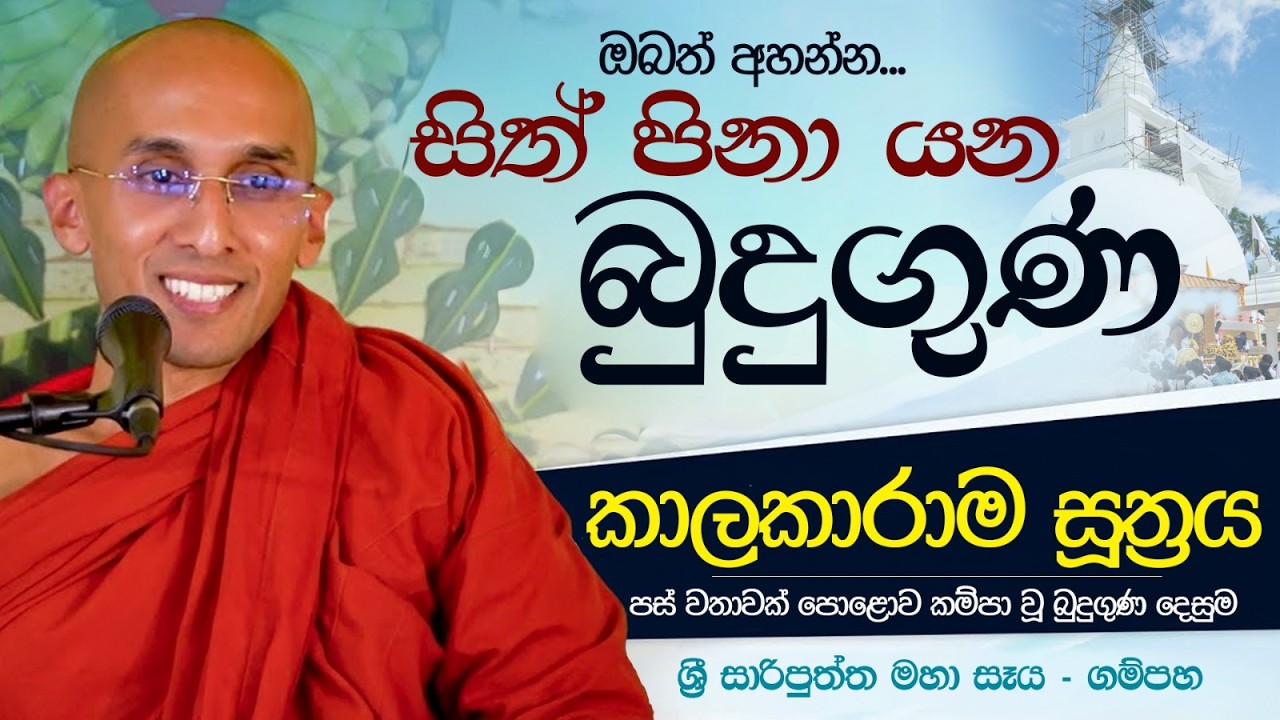 සිත් පිනා යන බුදුගුණ | කාලකාරාම සූත්‍රය | Ven. Ankubure Amithadeepa Thero