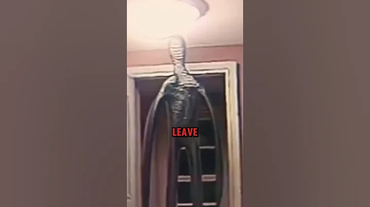 💋 WHAT IF You KISSED MR. KITTY in the BACKROOMS!? (Found Footage)