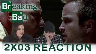 Breaking Bad 2X03 BIT BY A DEAD BEE reaction
