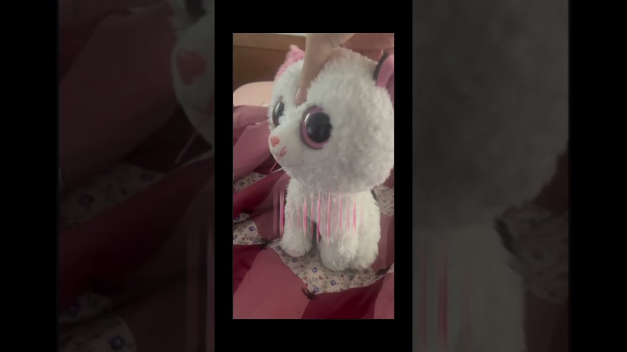 Amazing Beanie Boo Thrift Haul And Birds Beanieboos Beanieboohaul Thrifting Thrifthaul