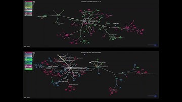OMG elixir 2019v2020