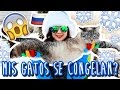 COMO SOBREVIVIR AL INVIERNO RUSO ★ Ale Ivanova