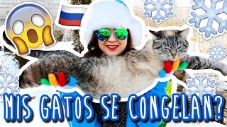 Como Sobrevivir Al Invierno Ruso Ale Ivanova