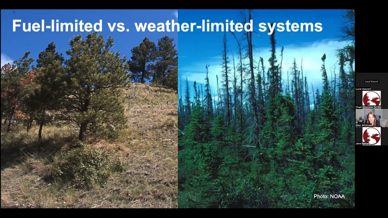 Historical Fire Regimes and Recent Wildfire Trends in Canada and Nova Scotia
