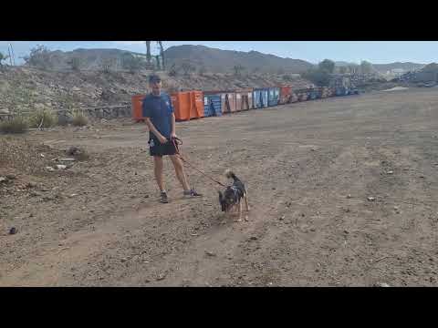 Max video