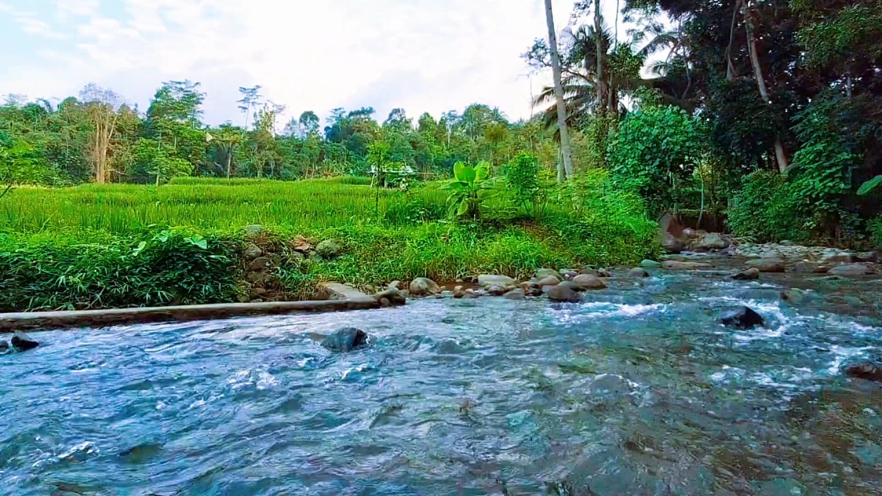 Gentle River Water for Sleep Healing