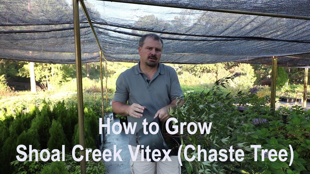 Horticultural Charcoal, Shoal Creek Nursery LLC
