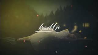 Kad1r - Destiny (Ft. HardPaw)