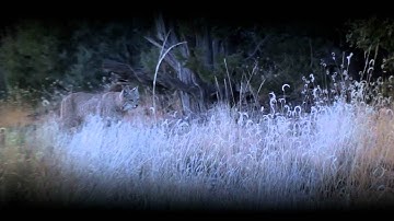 HuntingGPSmaps-Public Land, Topo, & Unit Boundaries GPS Maps