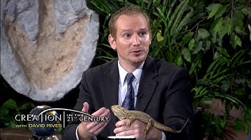 Creation in the 21st Century:  Remarkable Reptiles Promo