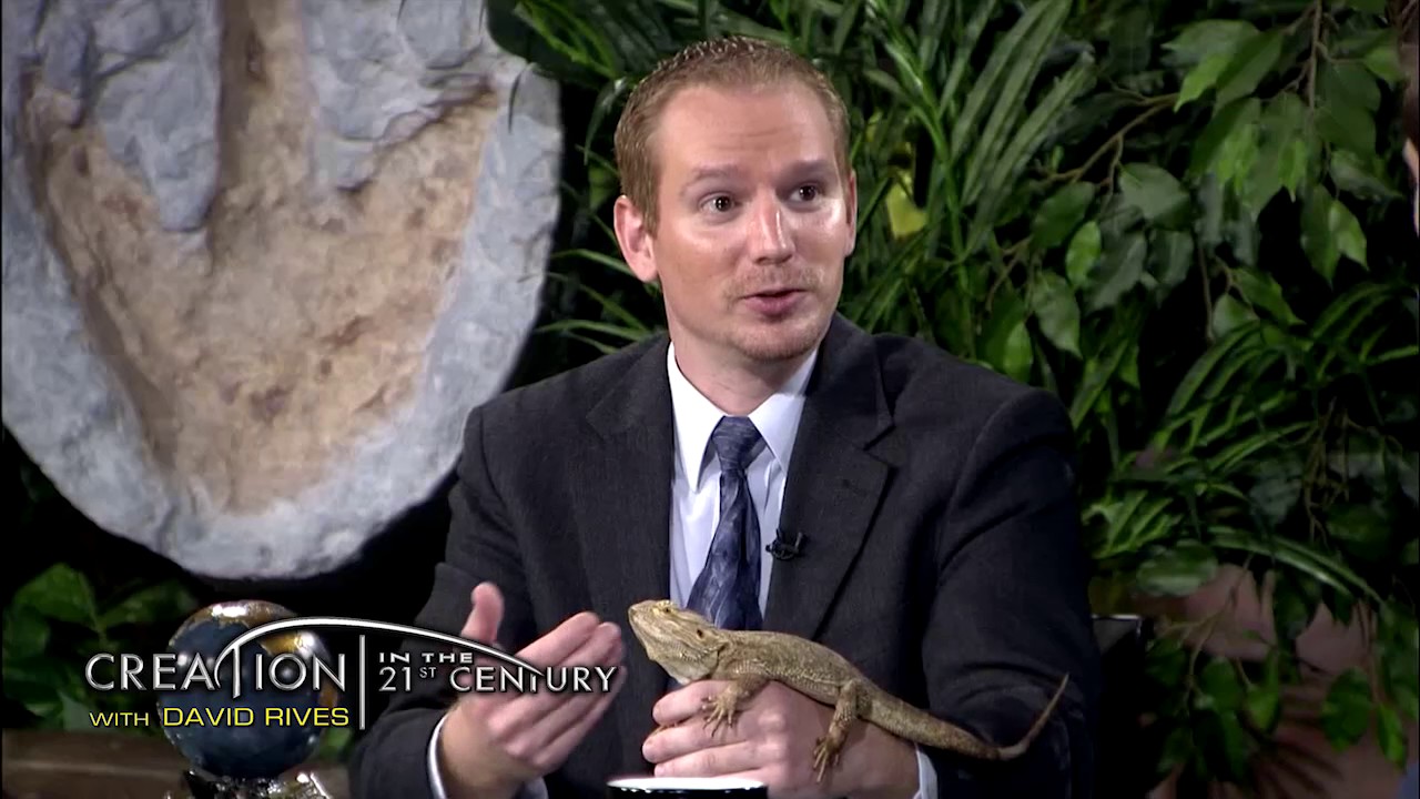 insects picture Creation in the 21st Century: Remarkable Reptiles Promo