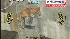 バーチャルネットアイドルチェき14歳 Youtube バーチャルネットアイドルチェき14歳 Youtube