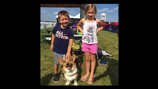 SOFK9 - SOUTHERN OHIO FLYING K9 DISC FRISBEE DOG DEMO - COLUMBUS OHIO