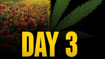 Deep Insight Into Day 3 of Creation 