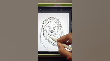 Realistic Lion Drawing in Procreate | Digital Art Time-Lapse PART 1
