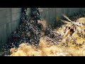 Zombie Attack in Jerusalem (that wall wasn