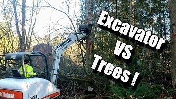 Bobcat 331 Excavator VS Trees !  Knocking down trees with  Excavator plus Excavator vs Kubota BX23S