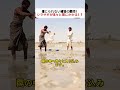 信じられない捕獲の瞬間！ シラサギが次々と罠にかかる！？ #シラサギ #捕獲 #野鳥 #自然観察 #動物ドキュメンタリー