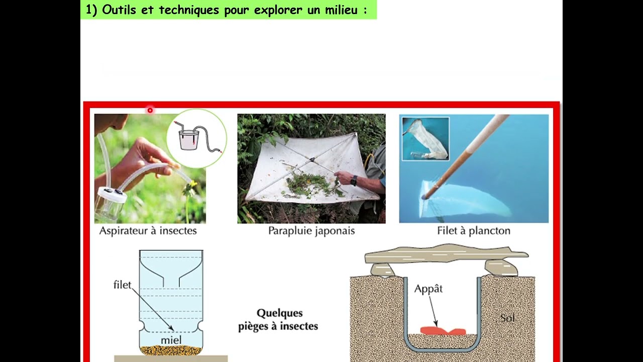 🌿 Sortie écologique – 1ʳᵉ leçon de TC Maroc | Découverte de la nature et de l’environnement