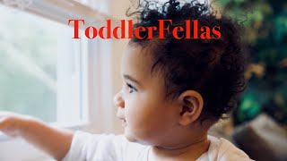 ToddlerFellas...Two Years in the Life