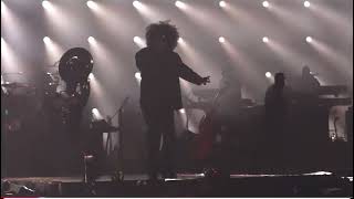 Jay  Z Roots picnic (full set)