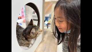 Our first trip to Mini Cat Town