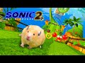 Sonic the hedgehog 2 hamster hunts for chaos emeralds  in hamster stories  hamsterious