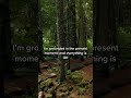 Affirmations to get out of survival mode #healingjourney #nervoussystem #survivalmode #affirmations
