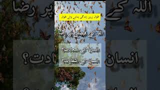 انسان کی سعادت |انسان کی شقاوت | اللہ تعالی کے فیصلے پر راضی ہو جاو |islamic short urdu life