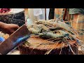 Green Prawns Fish Cleaning And Slice In Fish Market | Fish Cutting Live